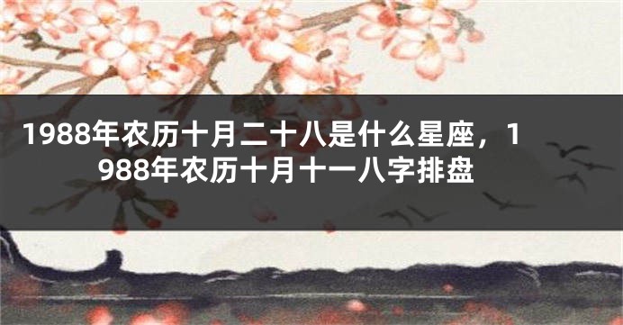 1988年农历十月二十八是什么星座，1988年农历十月十一八字排盘