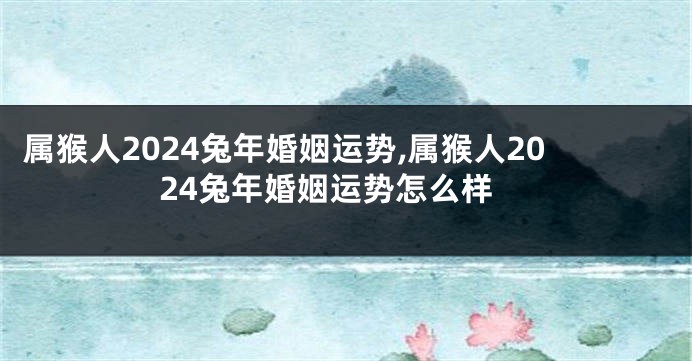 属猴人2024兔年婚姻运势,属猴人2024兔年婚姻运势怎么样