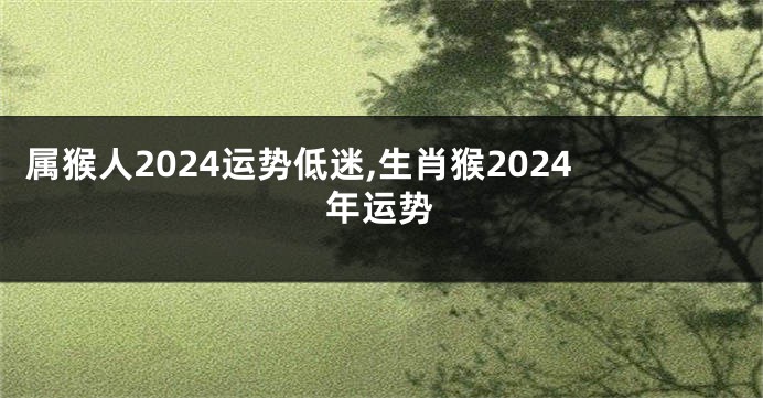 属猴人2024运势低迷,生肖猴2024年运势