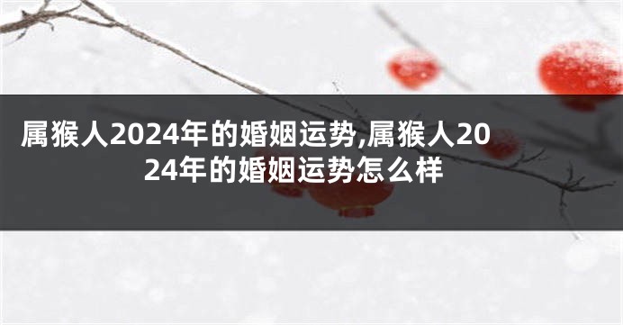 属猴人2024年的婚姻运势,属猴人2024年的婚姻运势怎么样