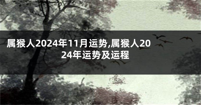 属猴人2024年11月运势,属猴人2024年运势及运程