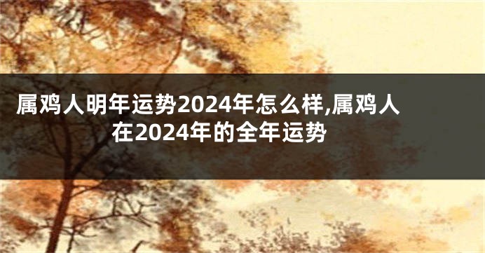 属鸡人明年运势2024年怎么样,属鸡人在2024年的全年运势