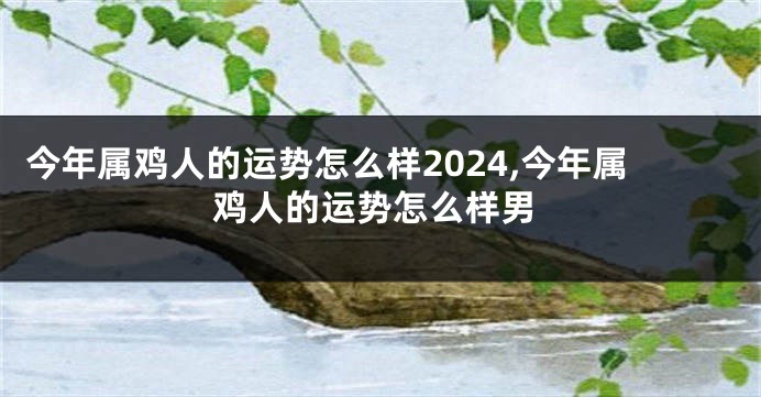 今年属鸡人的运势怎么样2024,今年属鸡人的运势怎么样男