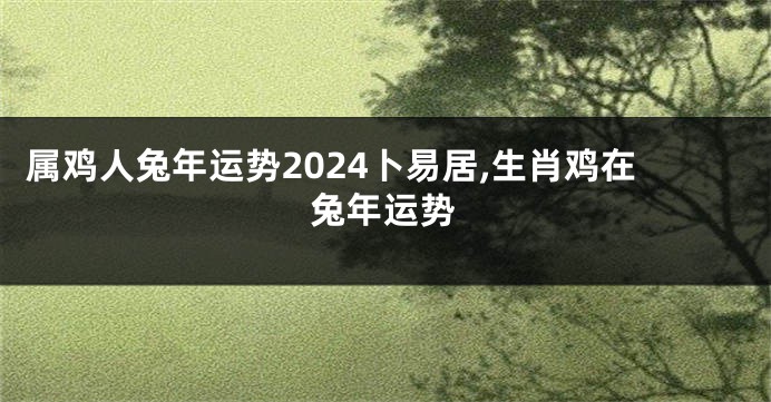 属鸡人兔年运势2024卜易居,生肖鸡在兔年运势