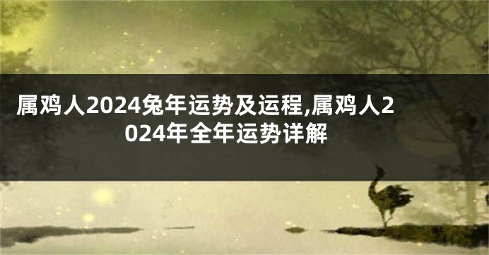 属鸡人2024兔年运势及运程,属鸡人2024年全年运势详解