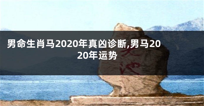 男命生肖马2020年真凶诊断,男马2020年运势