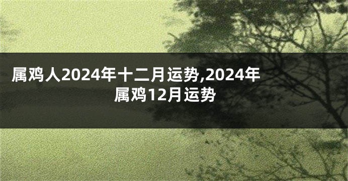 属鸡人2024年十二月运势,2024年属鸡12月运势