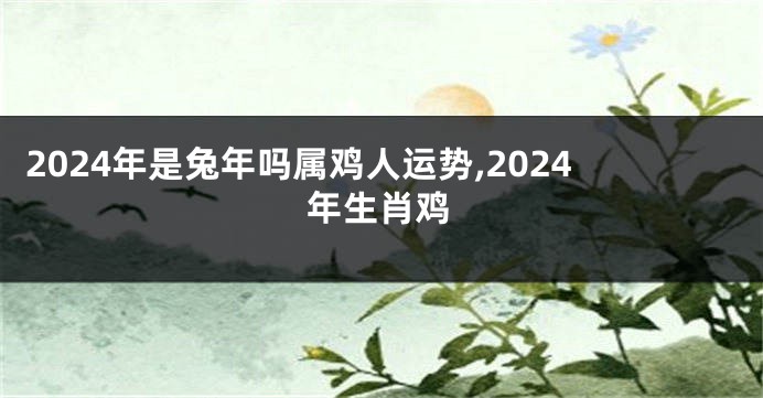 2024年是兔年吗属鸡人运势,2024年生肖鸡