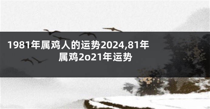 1981年属鸡人的运势2024,81年属鸡2o21年运势