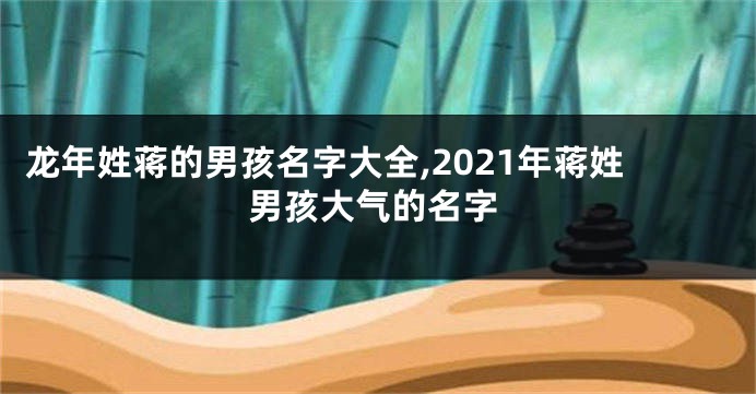 龙年姓蒋的男孩名字大全,2021年蒋姓男孩大气的名字