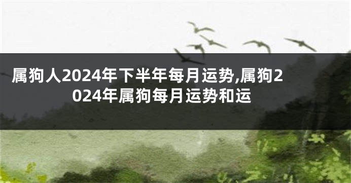 属狗人2024年下半年每月运势,属狗2024年属狗每月运势和运