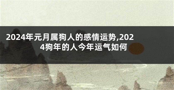 2024年元月属狗人的感情运势,2024狗年的人今年运气如何