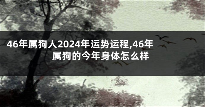 46年属狗人2024年运势运程,46年属狗的今年身体怎么样