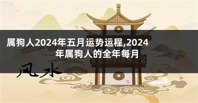 属狗人2024年五月运势运程,2024年属狗人的全年每月