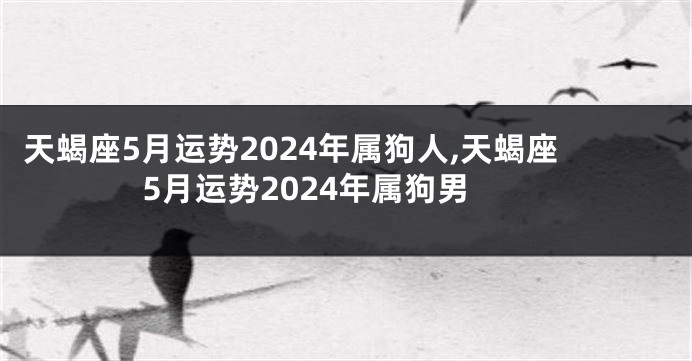 天蝎座5月运势2024年属狗人,天蝎座5月运势2024年属狗男