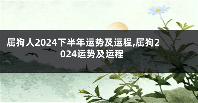 属狗人2024下半年运势及运程,属狗2024运势及运程