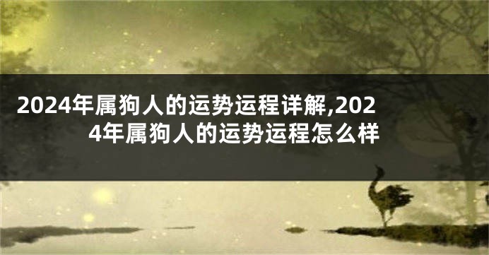 2024年属狗人的运势运程详解,2024年属狗人的运势运程怎么样