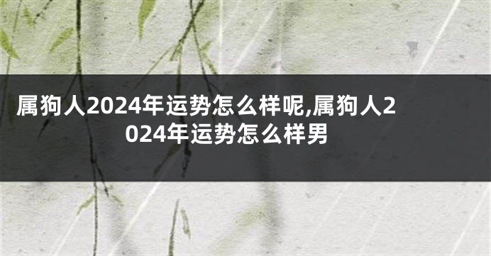 属狗人2024年运势怎么样呢,属狗人2024年运势怎么样男