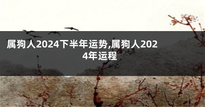 属狗人2024下半年运势,属狗人2024年运程