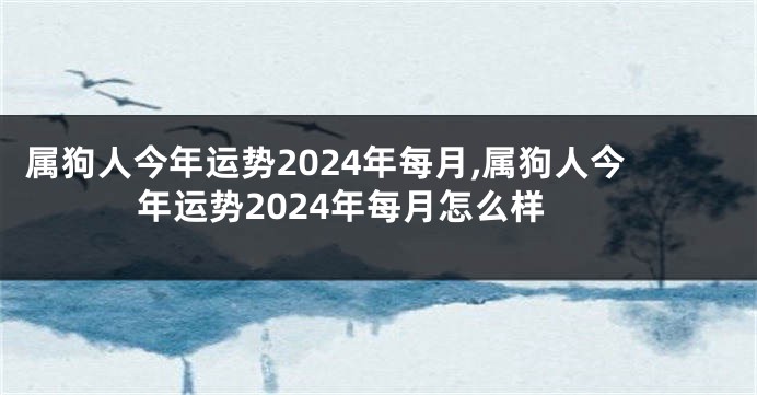 属狗人今年运势2024年每月,属狗人今年运势2024年每月怎么样