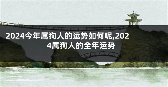 2024今年属狗人的运势如何呢,2024属狗人的全年运势