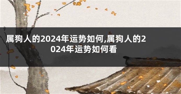 属狗人的2024年运势如何,属狗人的2024年运势如何看