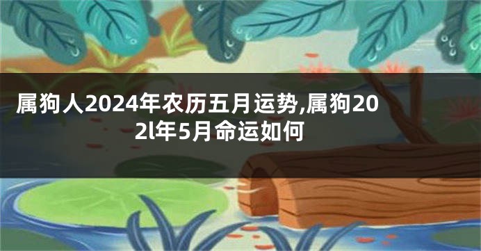 属狗人2024年农历五月运势,属狗202l年5月命运如何