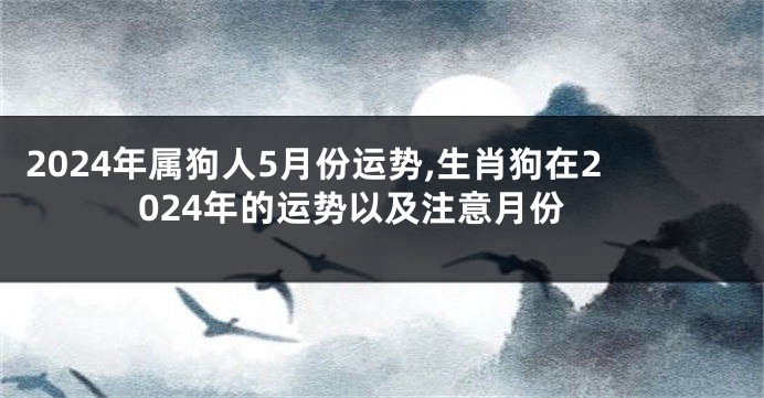 2024年属狗人5月份运势,生肖狗在2024年的运势以及注意月份