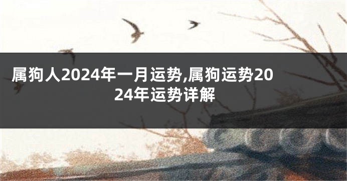 属狗人2024年一月运势,属狗运势2024年运势详解