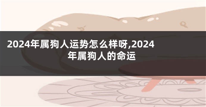 2024年属狗人运势怎么样呀,2024年属狗人的命运