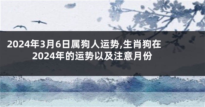 2024年3月6日属狗人运势,生肖狗在2024年的运势以及注意月份