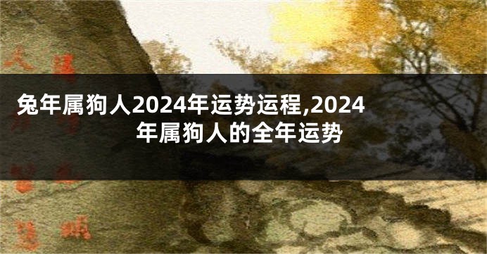 兔年属狗人2024年运势运程,2024年属狗人的全年运势