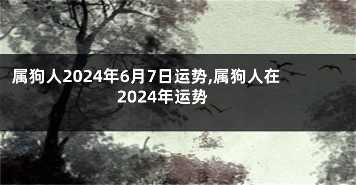 属狗人2024年6月7日运势,属狗人在2024年运势