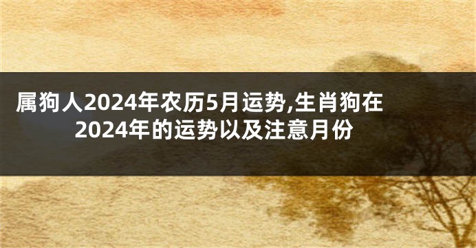 属狗人2024年农历5月运势,生肖狗在2024年的运势以及注意月份