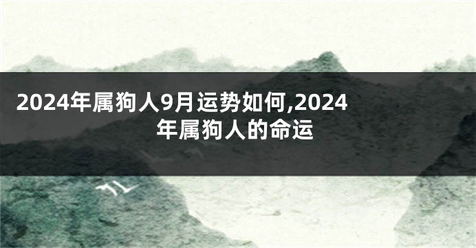 2024年属狗人9月运势如何,2024年属狗人的命运