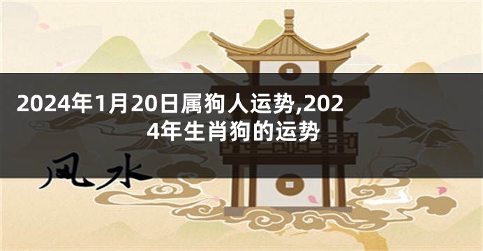 2024年1月20日属狗人运势,2024年生肖狗的运势