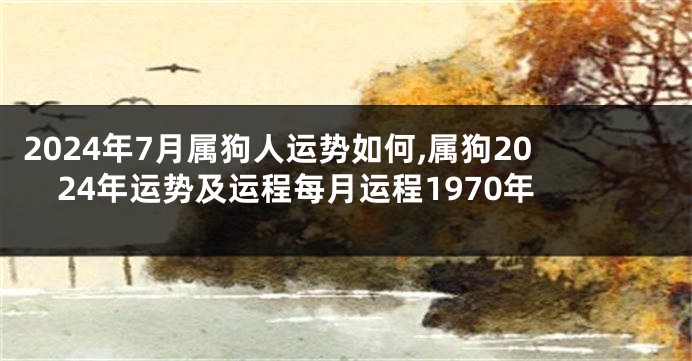 2024年7月属狗人运势如何,属狗2024年运势及运程每月运程1970年