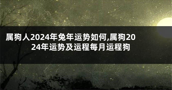 属狗人2024年兔年运势如何,属狗2024年运势及运程每月运程狗