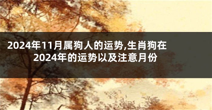 2024年11月属狗人的运势,生肖狗在2024年的运势以及注意月份