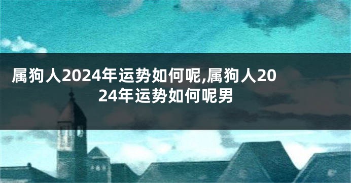 属狗人2024年运势如何呢,属狗人2024年运势如何呢男