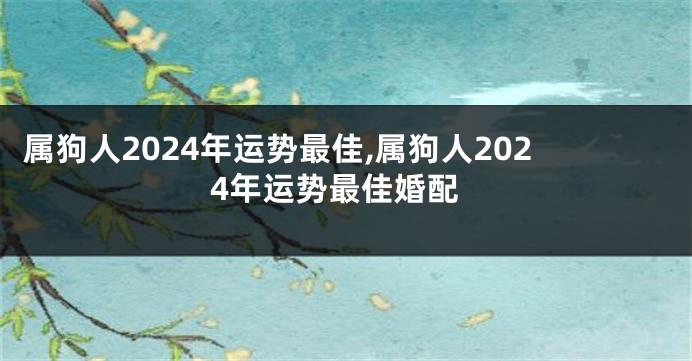 属狗人2024年运势最佳,属狗人2024年运势最佳婚配