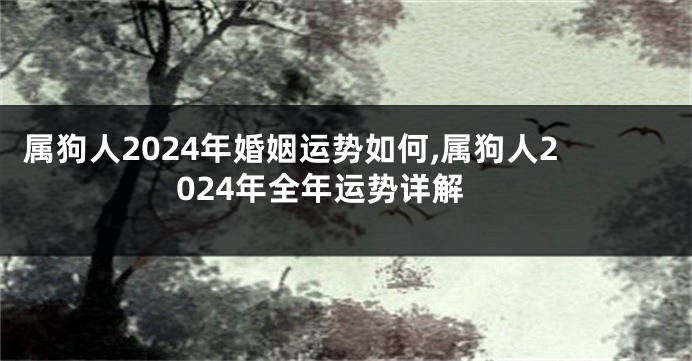 属狗人2024年婚姻运势如何,属狗人2024年全年运势详解