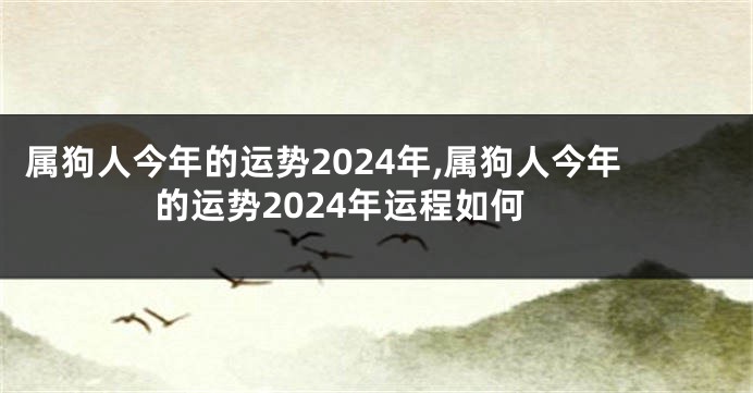 属狗人今年的运势2024年,属狗人今年的运势2024年运程如何