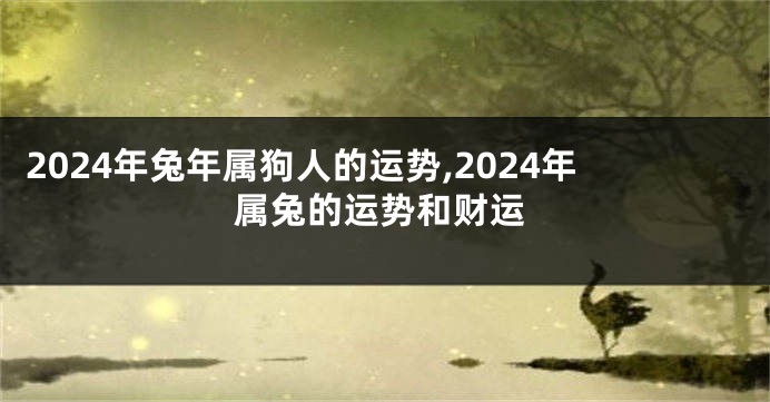 2024年兔年属狗人的运势,2024年属兔的运势和财运