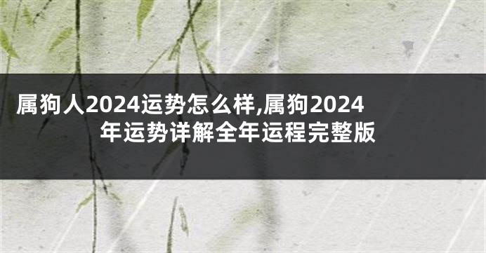 属狗人2024运势怎么样,属狗2024年运势详解全年运程完整版