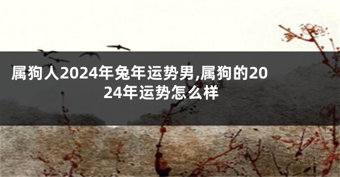 属狗人2024年兔年运势男,属狗的2024年运势怎么样