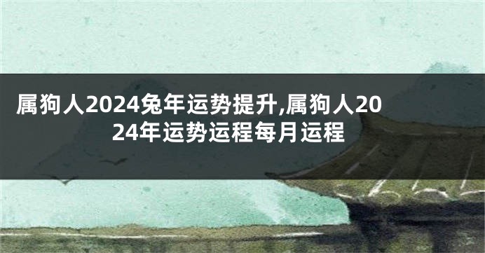 属狗人2024兔年运势提升,属狗人2024年运势运程每月运程