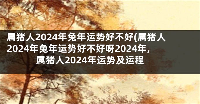 属猪人2024年兔年运势好不好(属猪人2024年兔年运势好不好呀2024年,属猪人2024年运势及运程