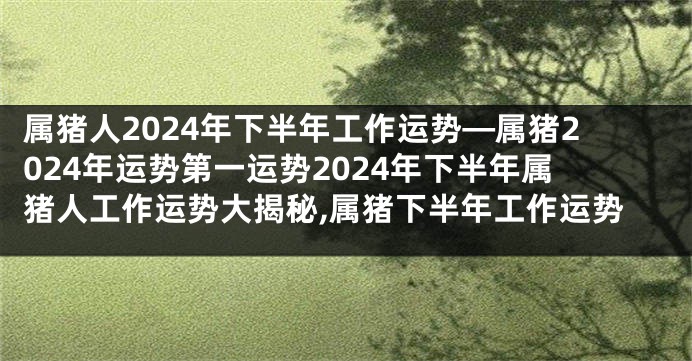 属猪人2024年下半年工作运势—属猪2024年运势第一运势2024年下半年属猪人工作运势大揭秘,属猪下半年工作运势