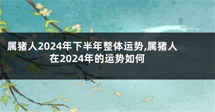 属猪人2024年下半年整体运势,属猪人在2024年的运势如何